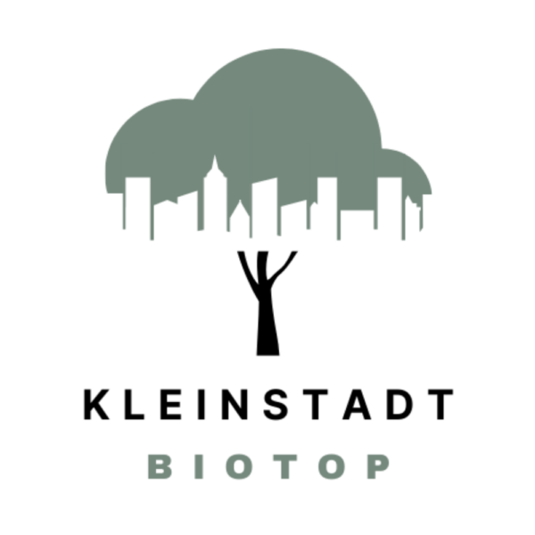 KLEINSTADTBIOTOP Vöcklabruck