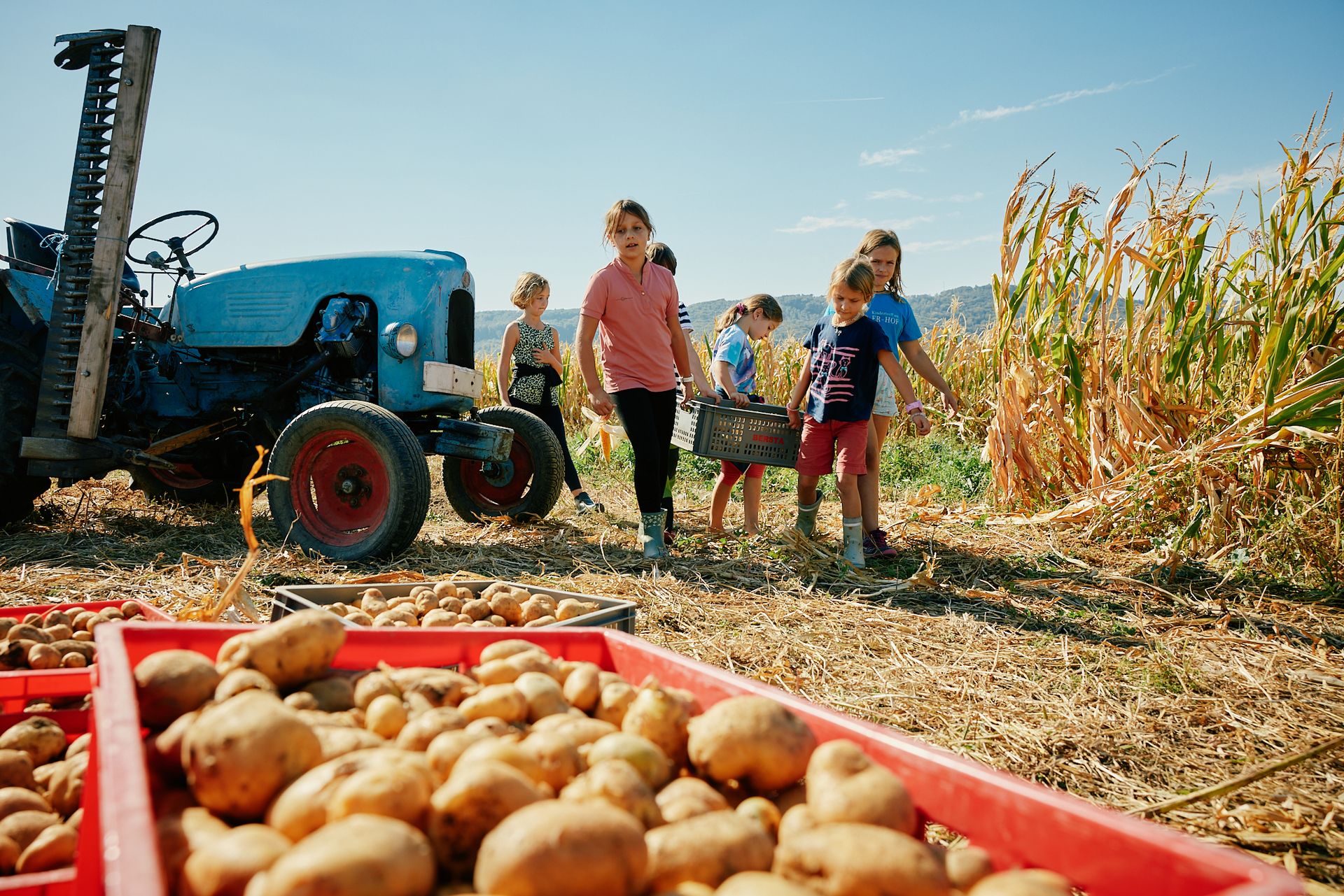 Gemeinschaft erleben am Bauernhof – Green Care Österreich