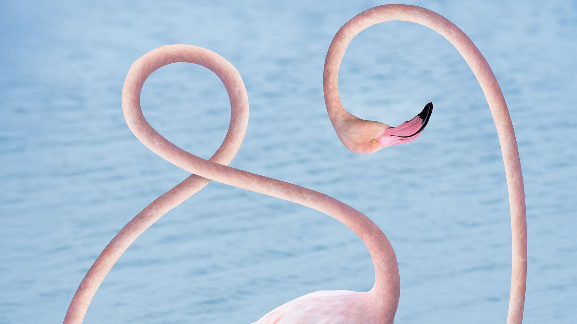 marhaba مرحبا im brut mit IZRAA und Bisan Dabke hosted by Selin Baran im Rahmen der Academy of Unlearning von kulturen in bewegung