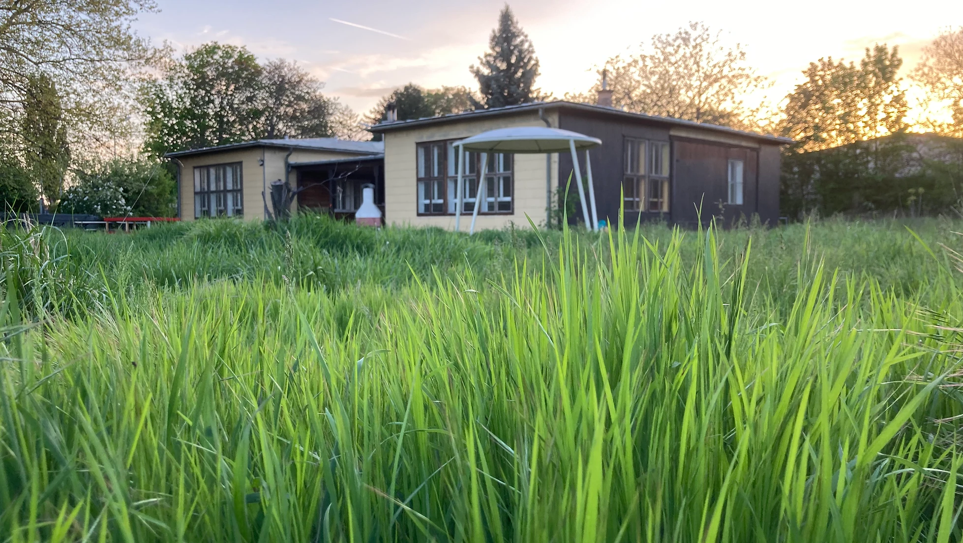 Einladung zum Expeditionsspaziergang"Pflanz the Jungle" mit ROOMING IN